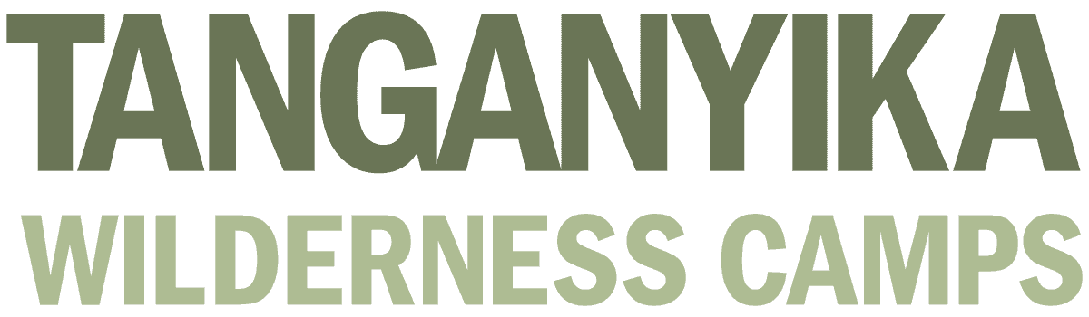 Kilimanjaro Lemosho — Summit the Roof of Africa