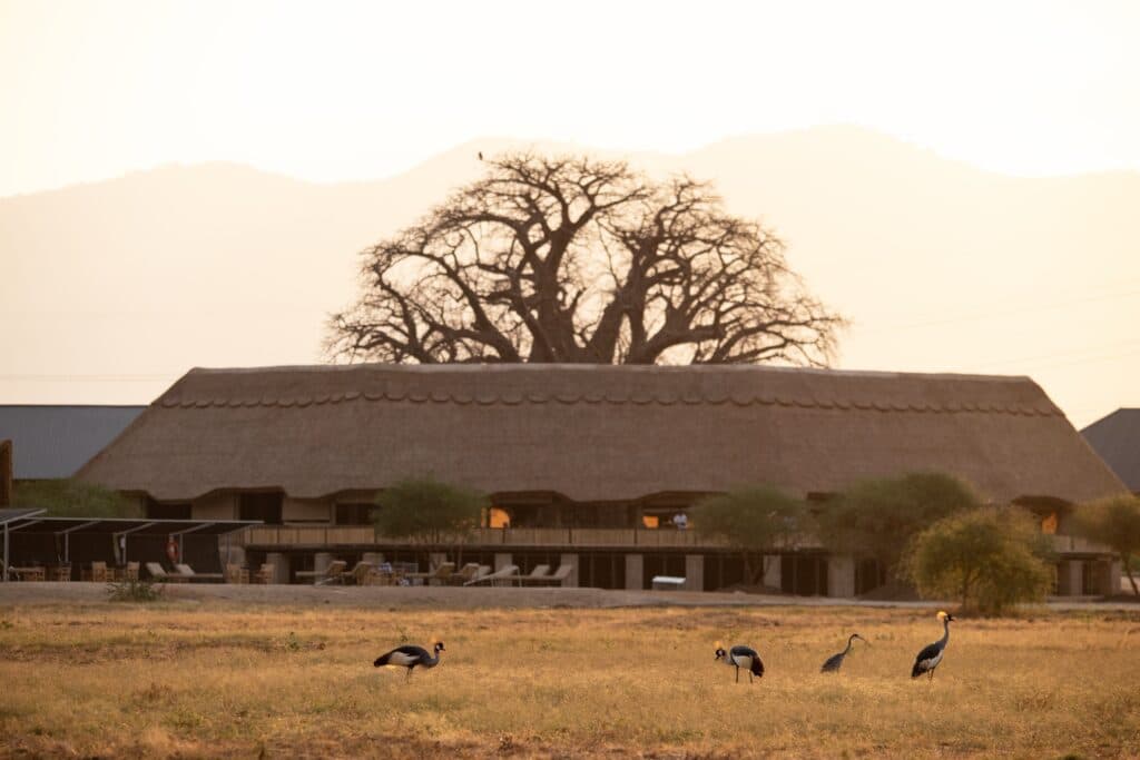 Kilimanjaro Machame — Whiskey Route Trek
