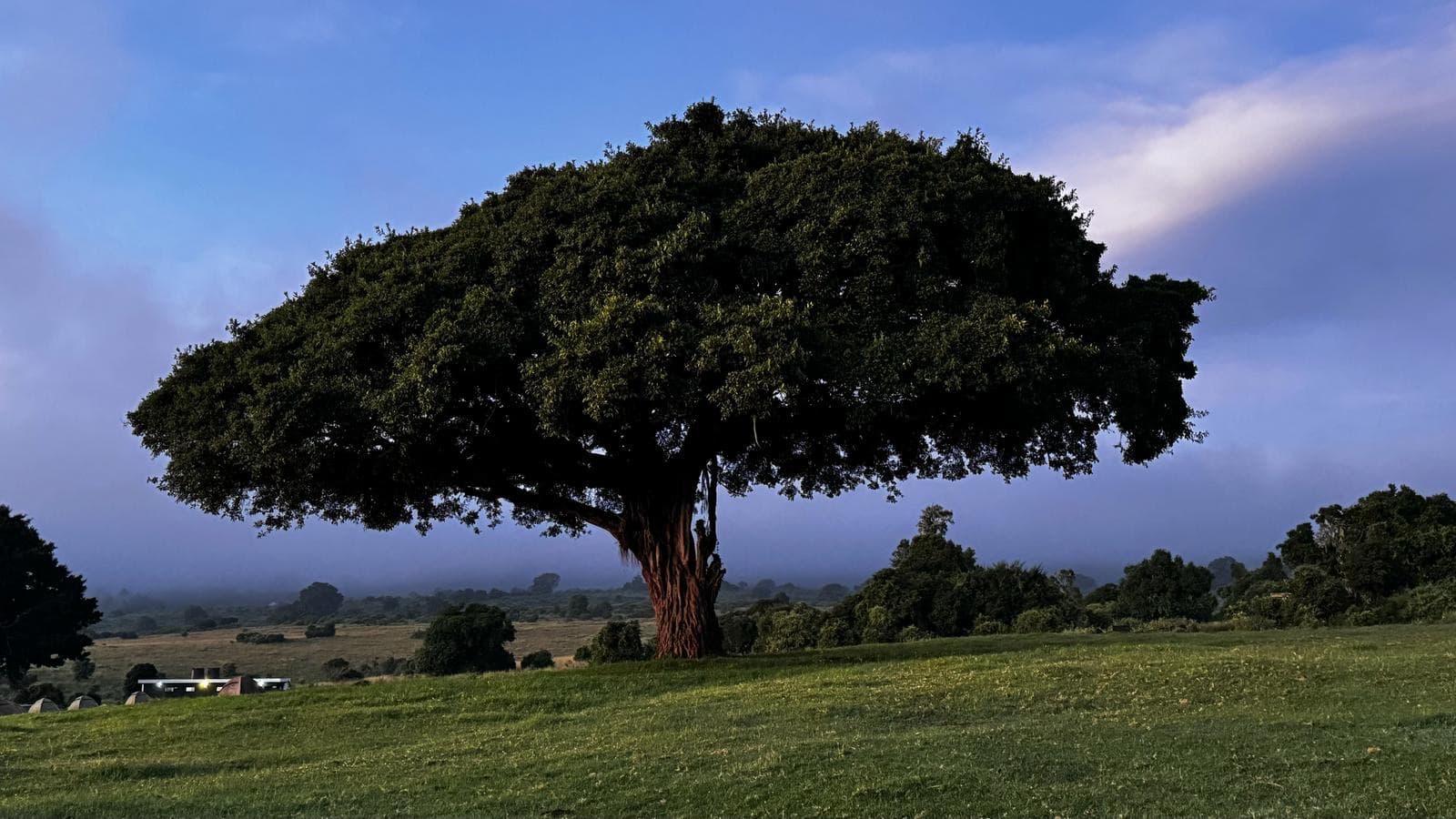 Bush to Beach — Northern Circuit & Zanzibar