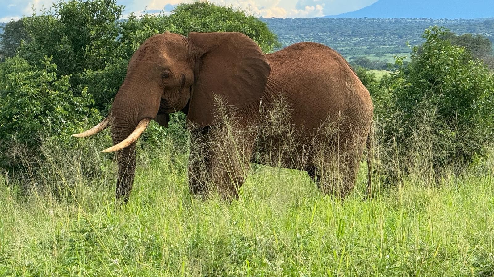 Bush to Beach — Northern Circuit & Zanzibar