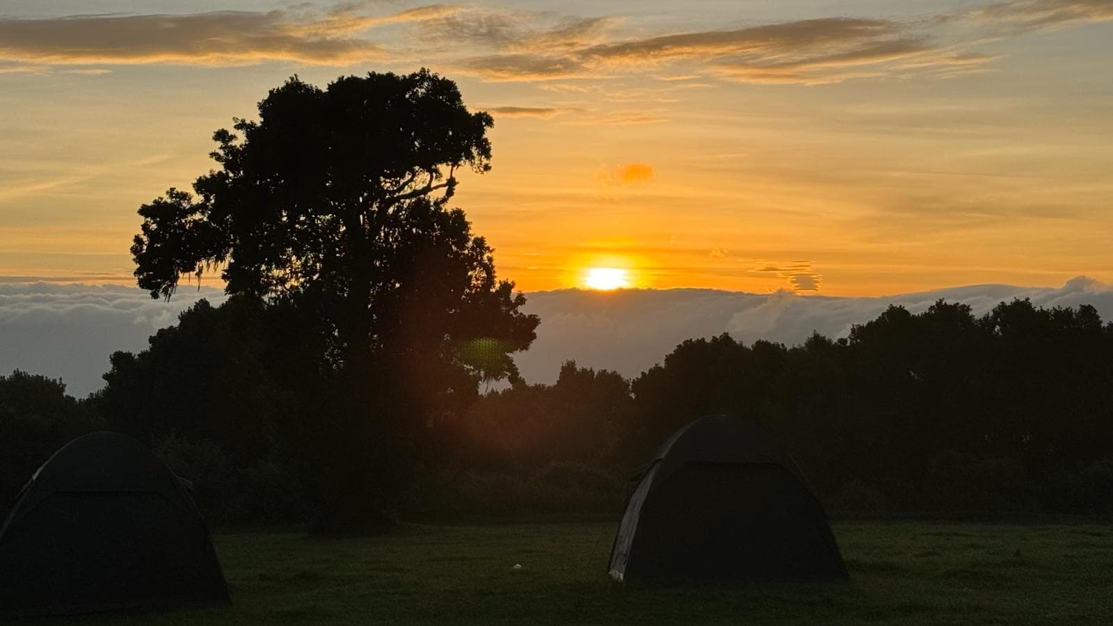 Bush to Beach — Northern Circuit & Zanzibar